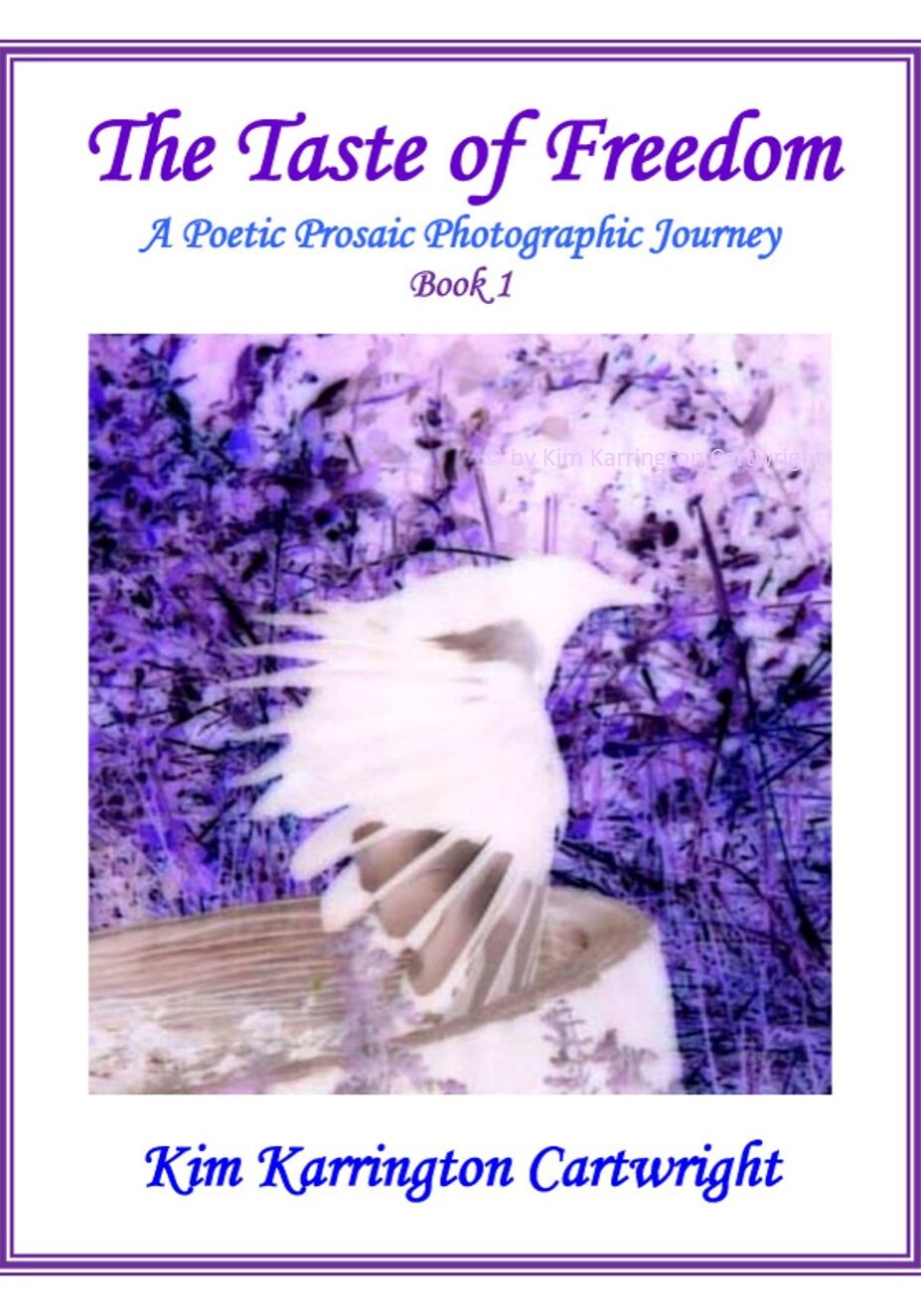 Front Cover For Book 1 wCopy